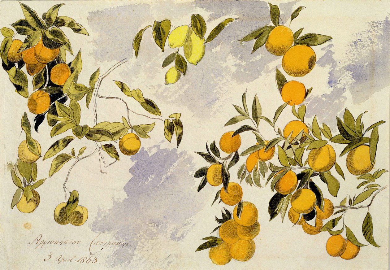 Orange Trees, 1863 (wc, penna och bläck över grafit på kraftigt vävt papper) av Edward Lear