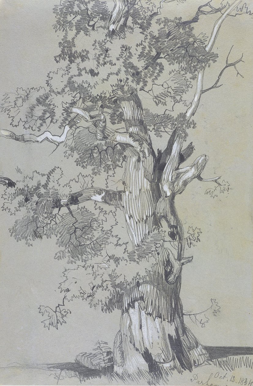 Parham, 13 oktober 1834 (grafit med vit gouache på brunt vävt papper) av Edward Lear
