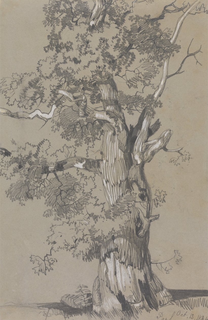 Parham, oktober 13.1834 av Edward Lear