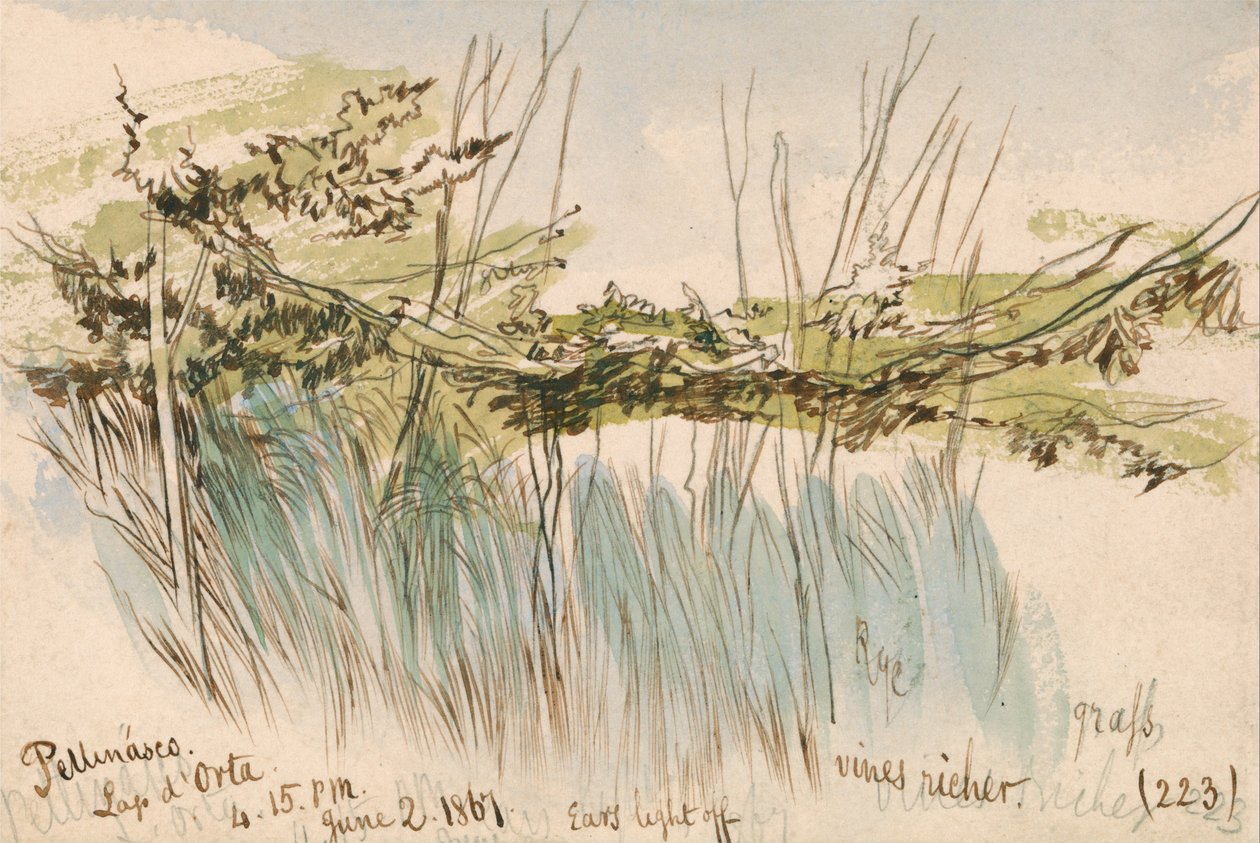 Pettenasco, Lago dOrta av Edward Lear