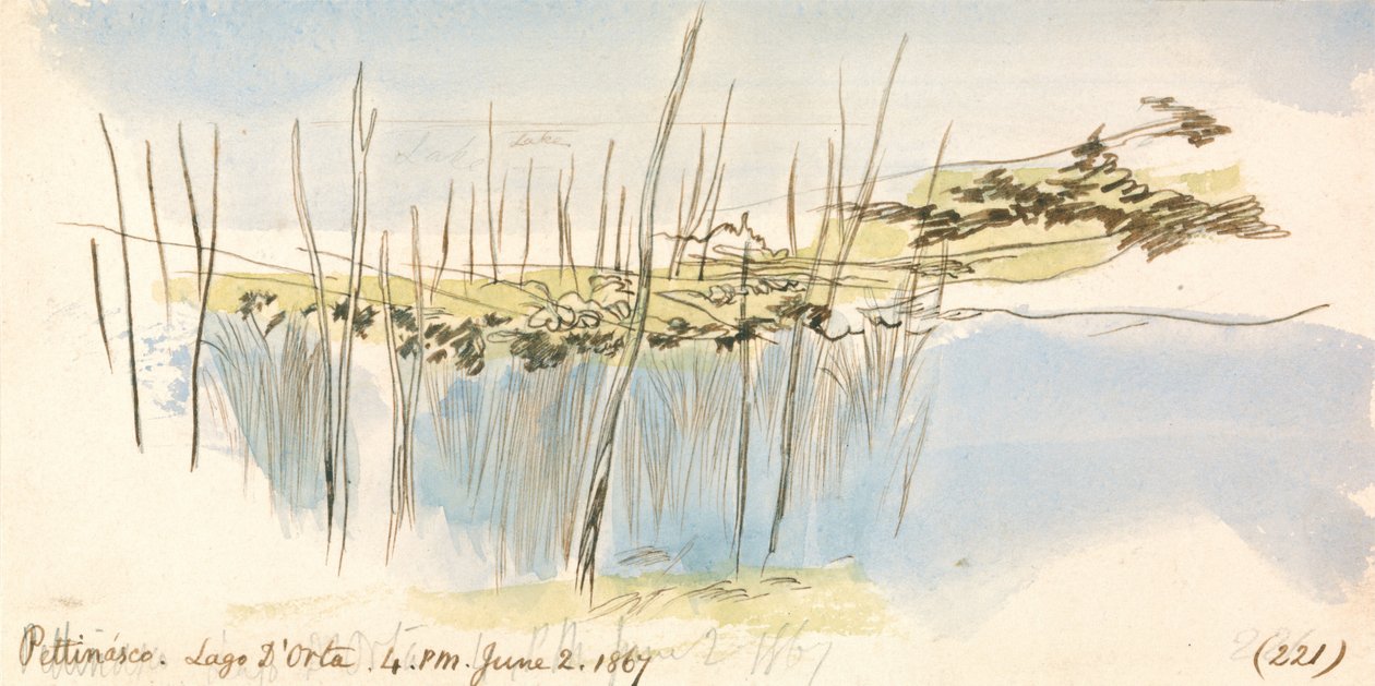 Pettenasco, Lago dOrta, 16.00-22.00, 2 juni 1867 (221) av Edward Lear