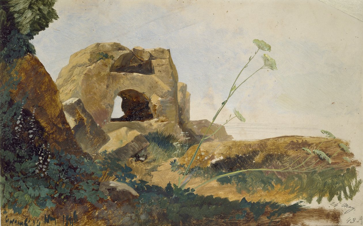 Studie av stenar och lövverk, Agrigento (Girgenti), Sicilien, 1847 (olja på glänsande benvitt papper) av Edward Lear