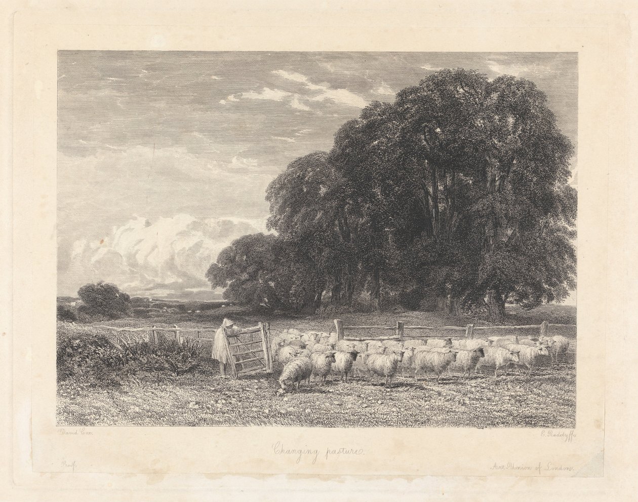 Bytande betesmark av Edward Radclyffe