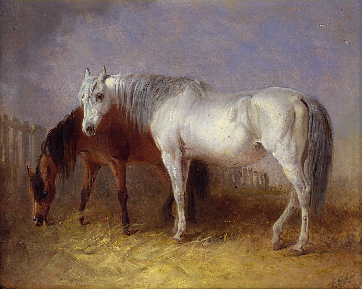 Grå och fux hästar av Edward Robert Smythe