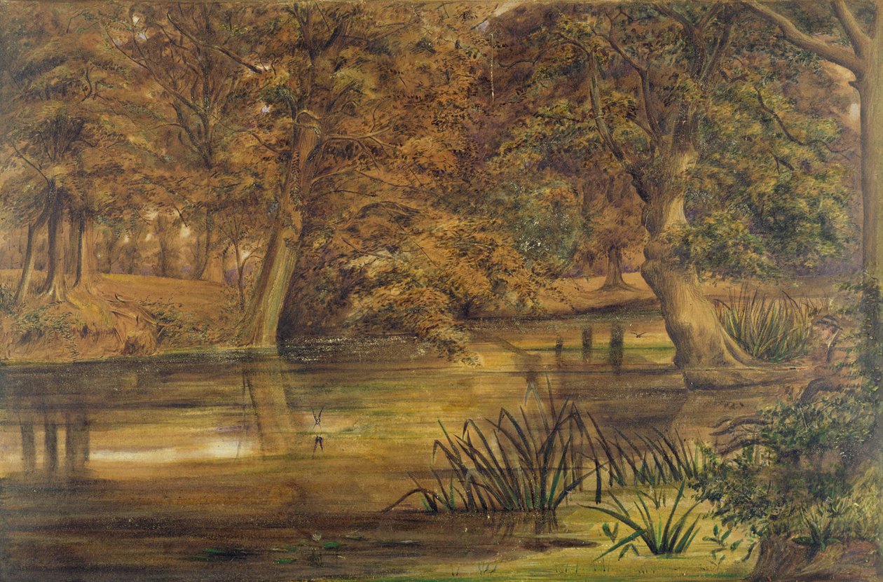 Back Water of the Bratford, 1864 (wc och penna på papper) av Edward W. Fitch