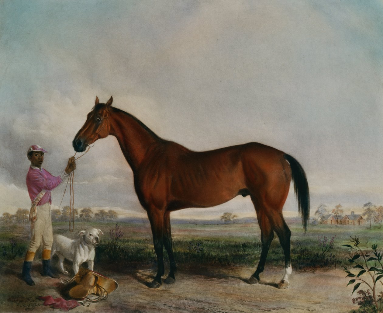 Förfrågan, Bay Horse av Edward (after) Troye