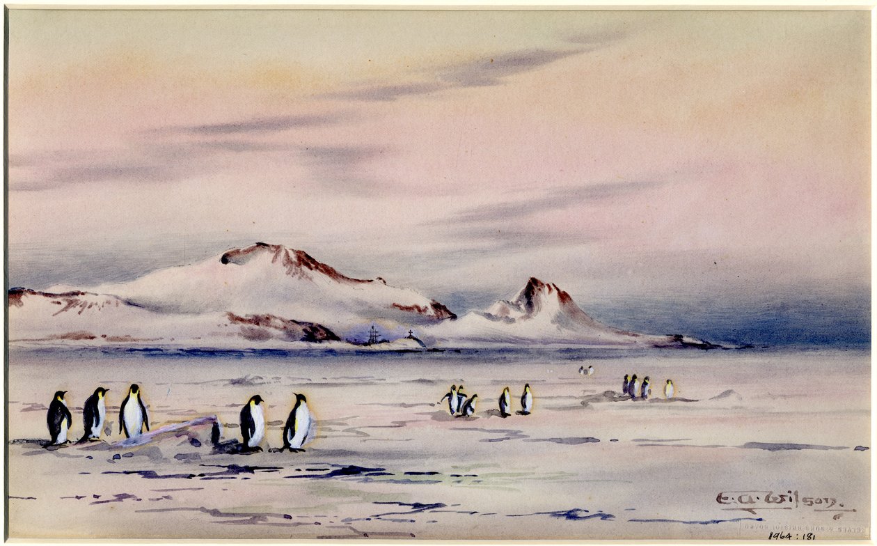 The Discovery Winter Quarters, c.1901-04 (wc på papper) av Edward Adrian Wilson