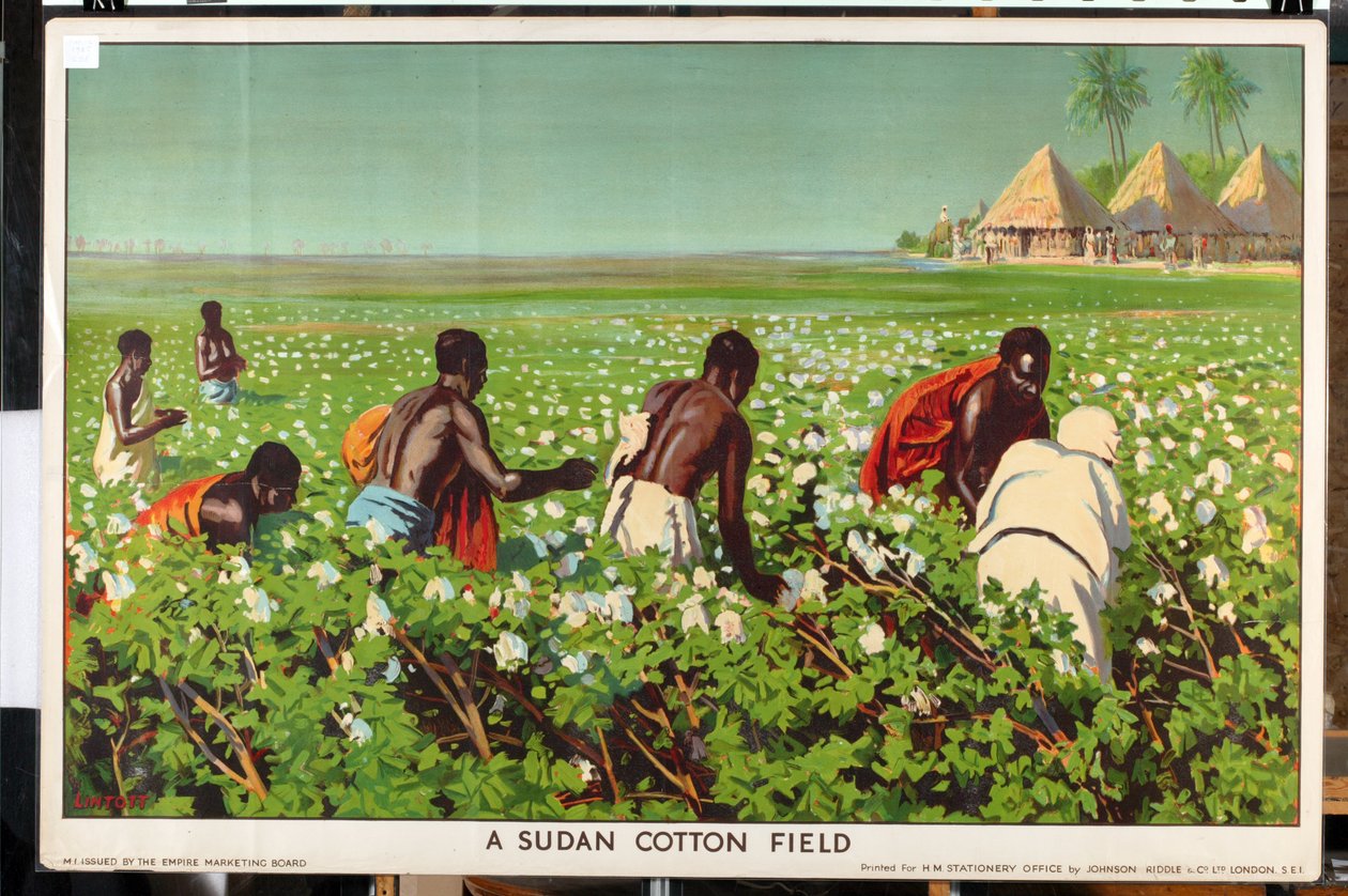 A Sudan Cotton Field, från serien 