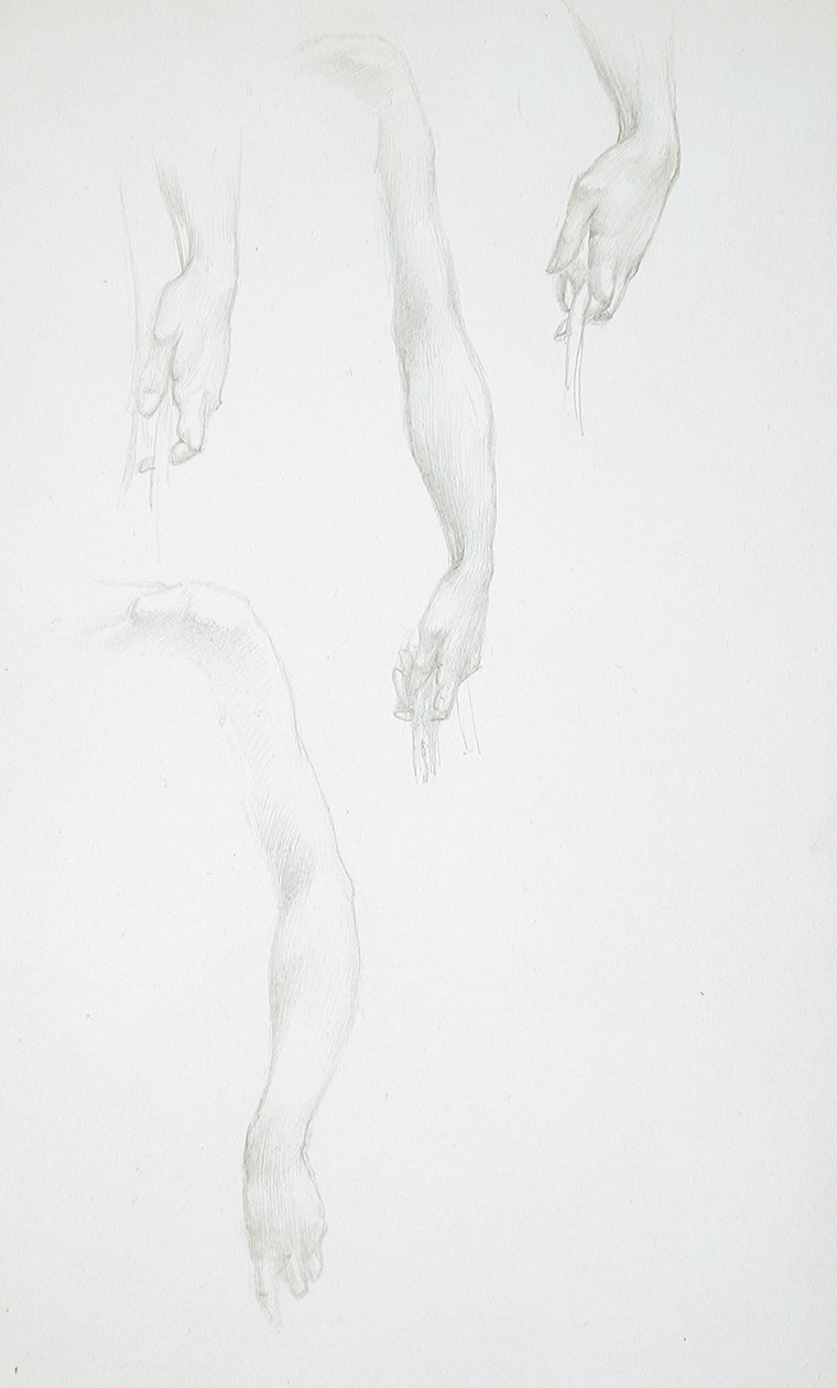 Studier av armar och händer (framsidan); Studie av kvinnlig torso (baksidan) av Edward Burne-Jones
