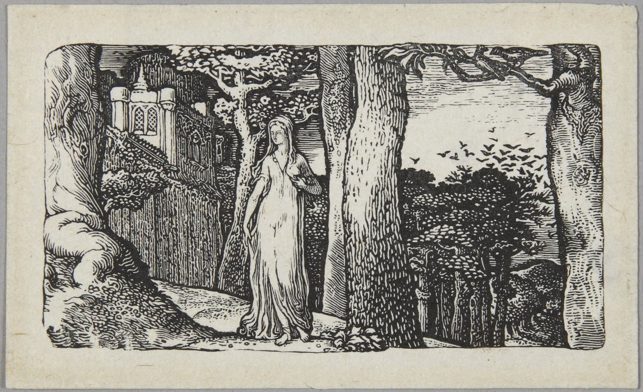 Damen med råkorna av Edward Calvert