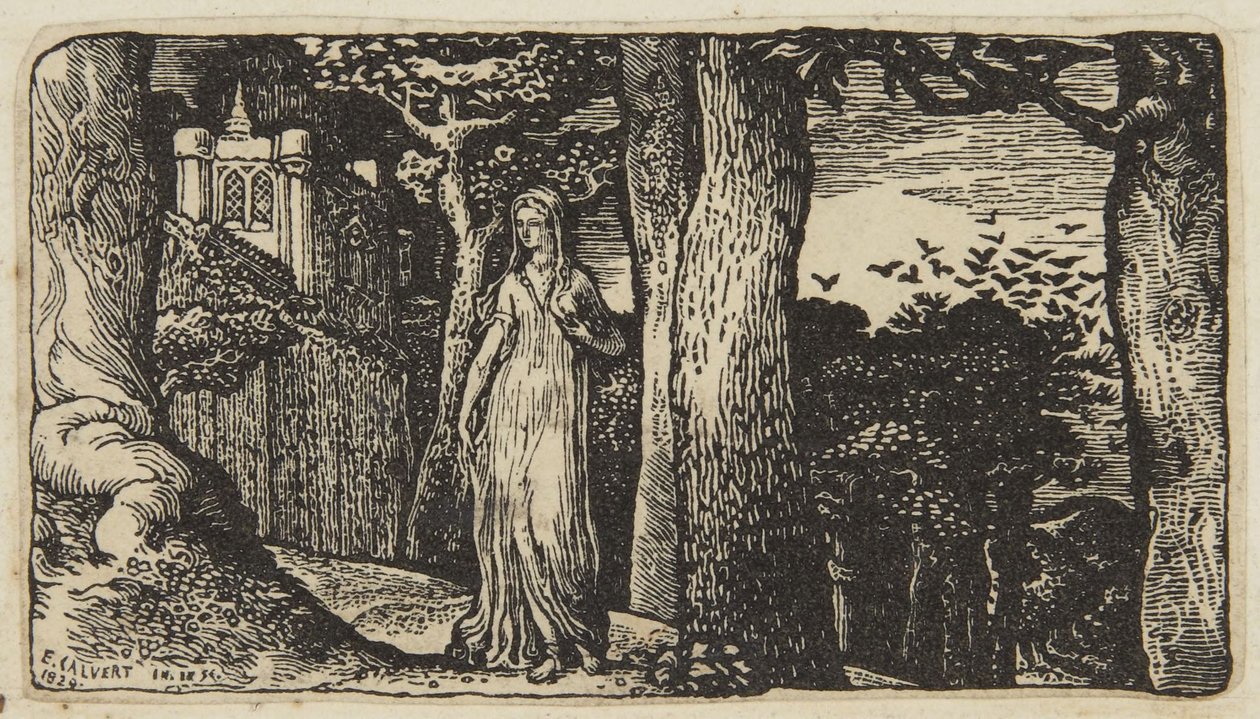Damen med råkorna av Edward Calvert