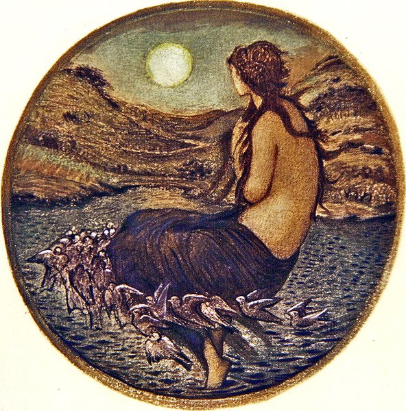 Blomsterboken: X. Venus