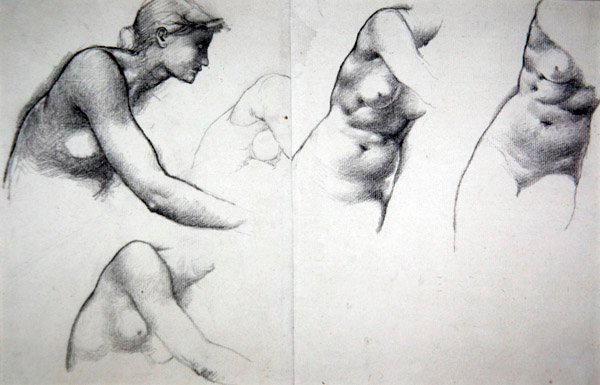 Förlåtelsens träd - Studie för figuren Phyllis, c.1882 (penna på papper) av Edward Coley Burne Jones