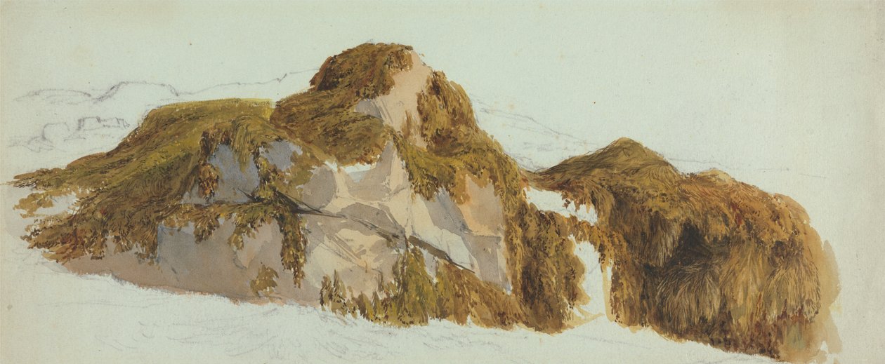 Studie av stenar täckta med sjögräs av Edward Duncan