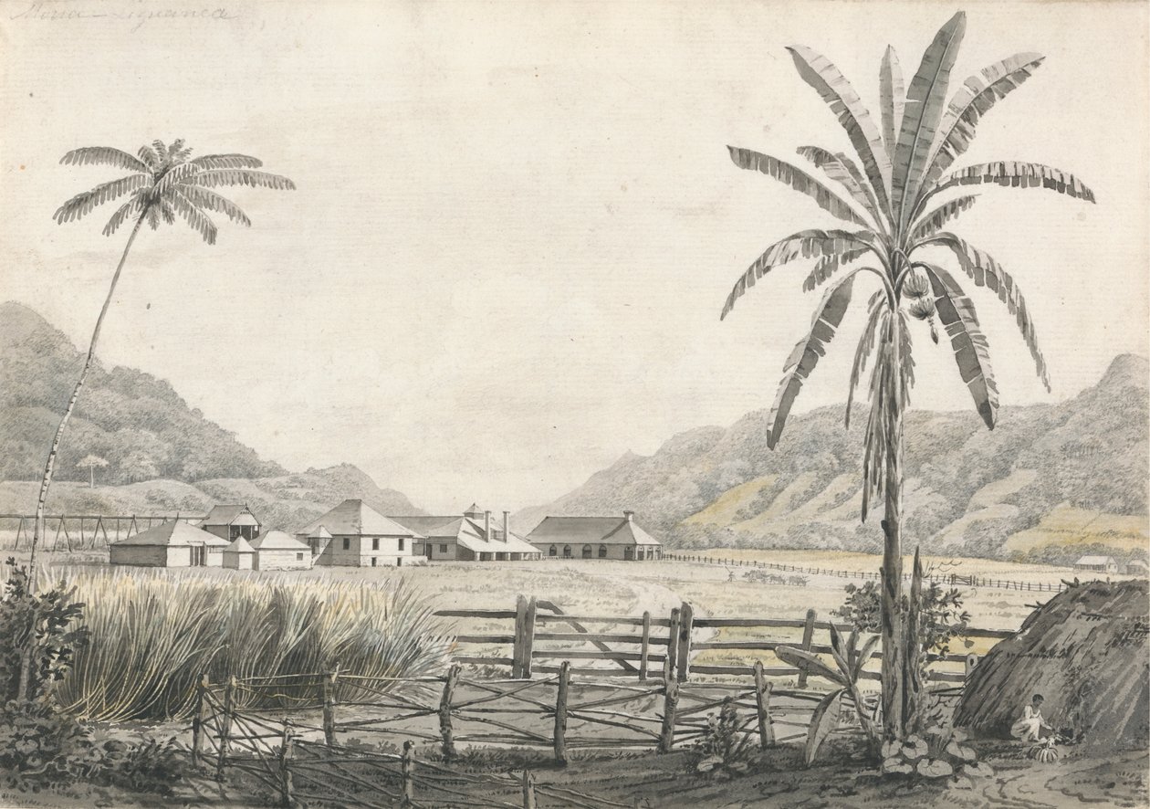 En vy av Hall-head Sugar Plantation, Jamaica av Edward Kennion