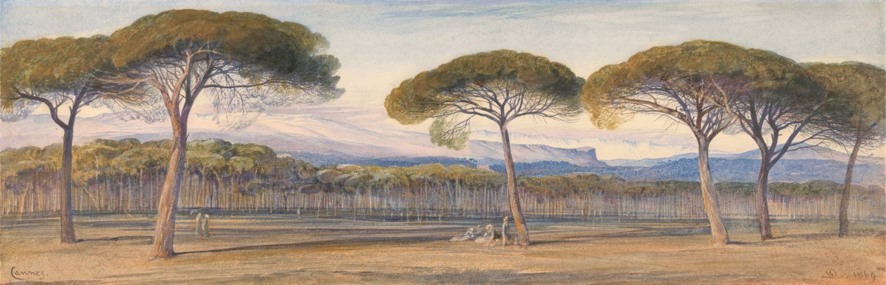 Utsikt över tallskogen ovanför Cannes av Edward Lear
