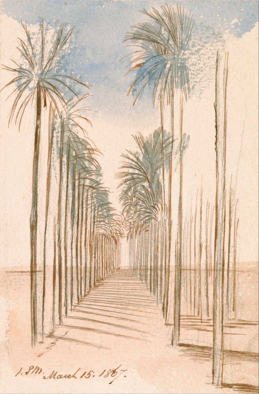 Trädallén av Edward Lear