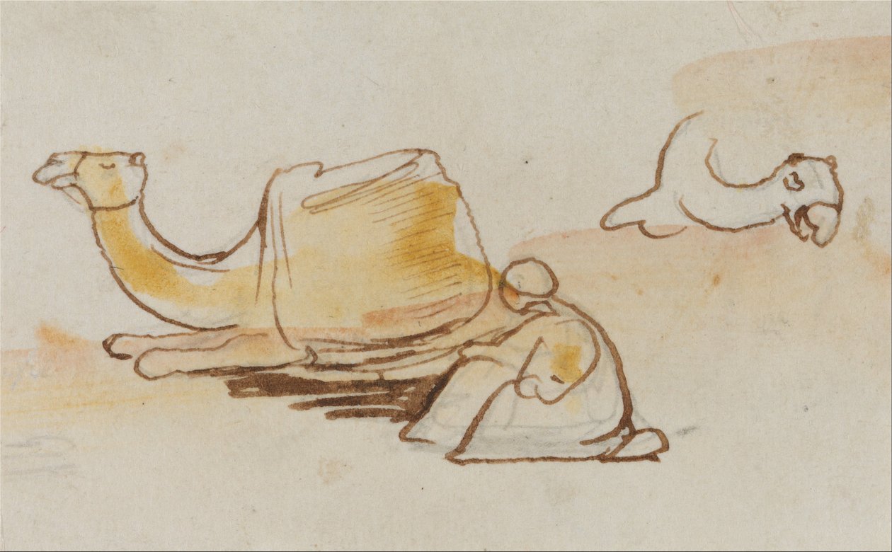 Studier av kameler av Edward Lear