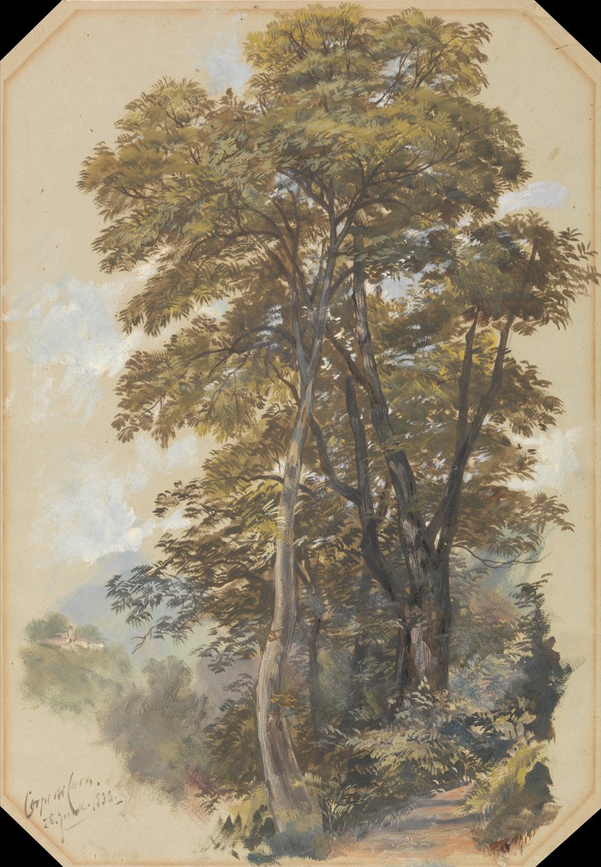 Stenbrottskåren, 28 juni 1838 av Edward Lear