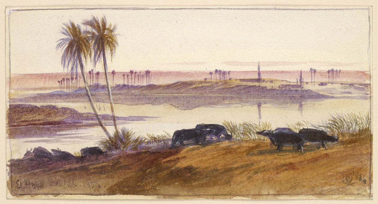 El Hon, Egypten, 1884 (akvarell och penna och bläck med kroppsfärg) av Edward Lear