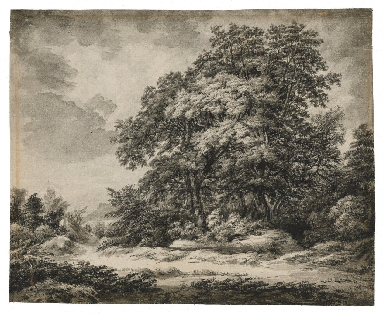 Skogslandskap av Edward Lear