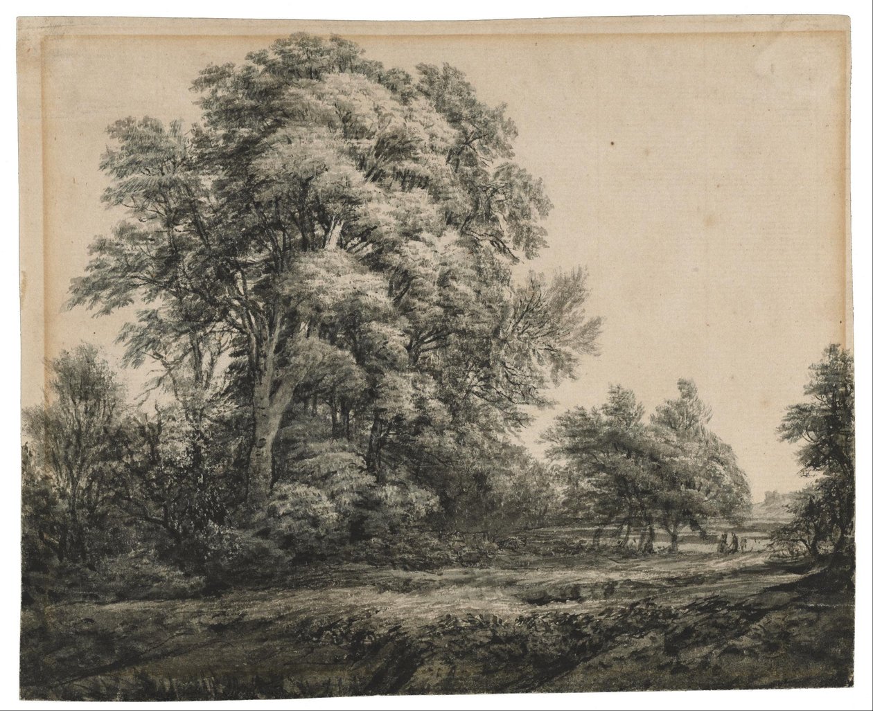 Skogslandskap av Edward Lear