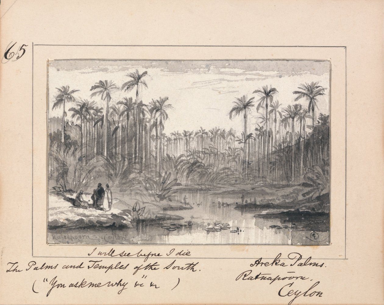 Illustration till Tennysons "Du frågar mig varför": Areka Palms, Ratanapooru, Ceylon - "Jag ska se innan jag dör Sydstaternas palmer och tempel av Edward Lear