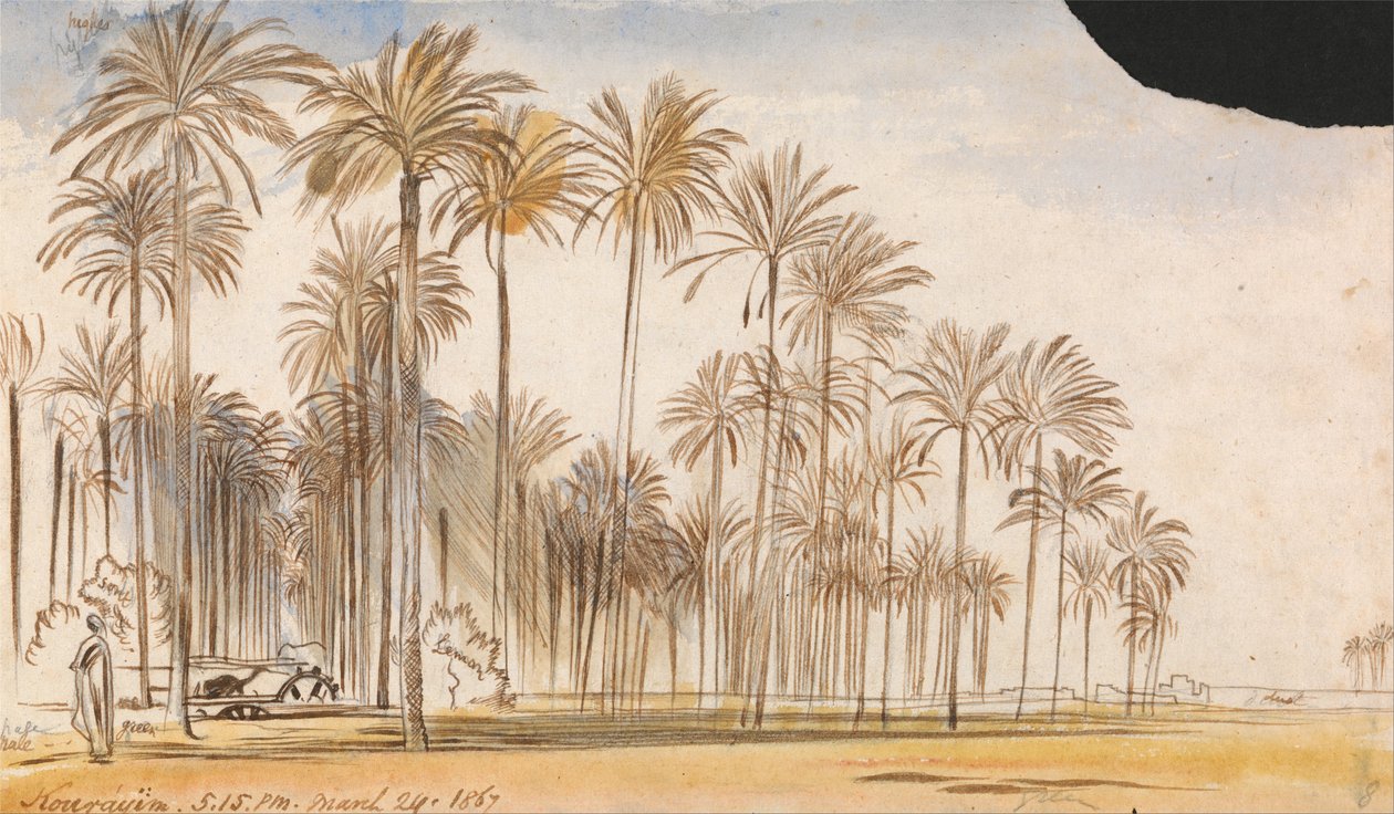 Kourayim av Edward Lear