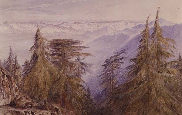 Apor på en klippa nära Simla, norra Indien av Edward Lear