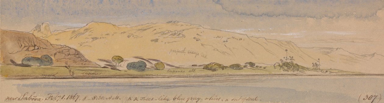 Nära Sabooa av Edward Lear