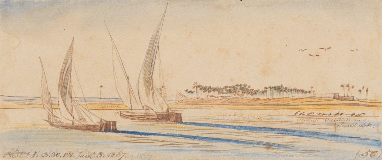 Näst: kl. 15.30, den 3 januari 1867 (50) av Edward Lear
