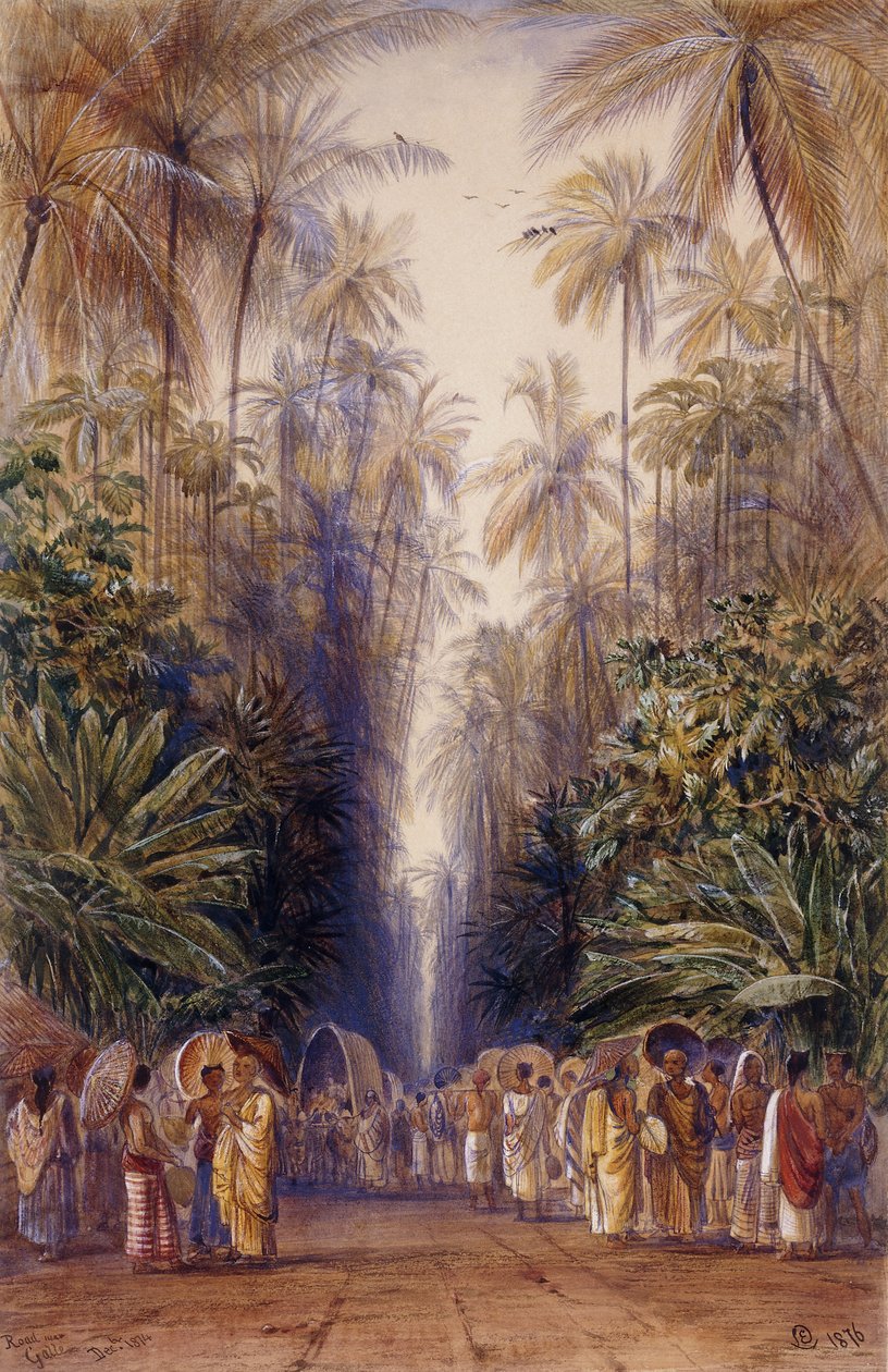 På väg till Galle, Ceylon av Edward Lear