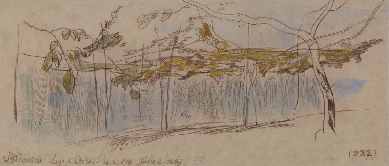 Pettenasco, sjön Orta av Edward Lear