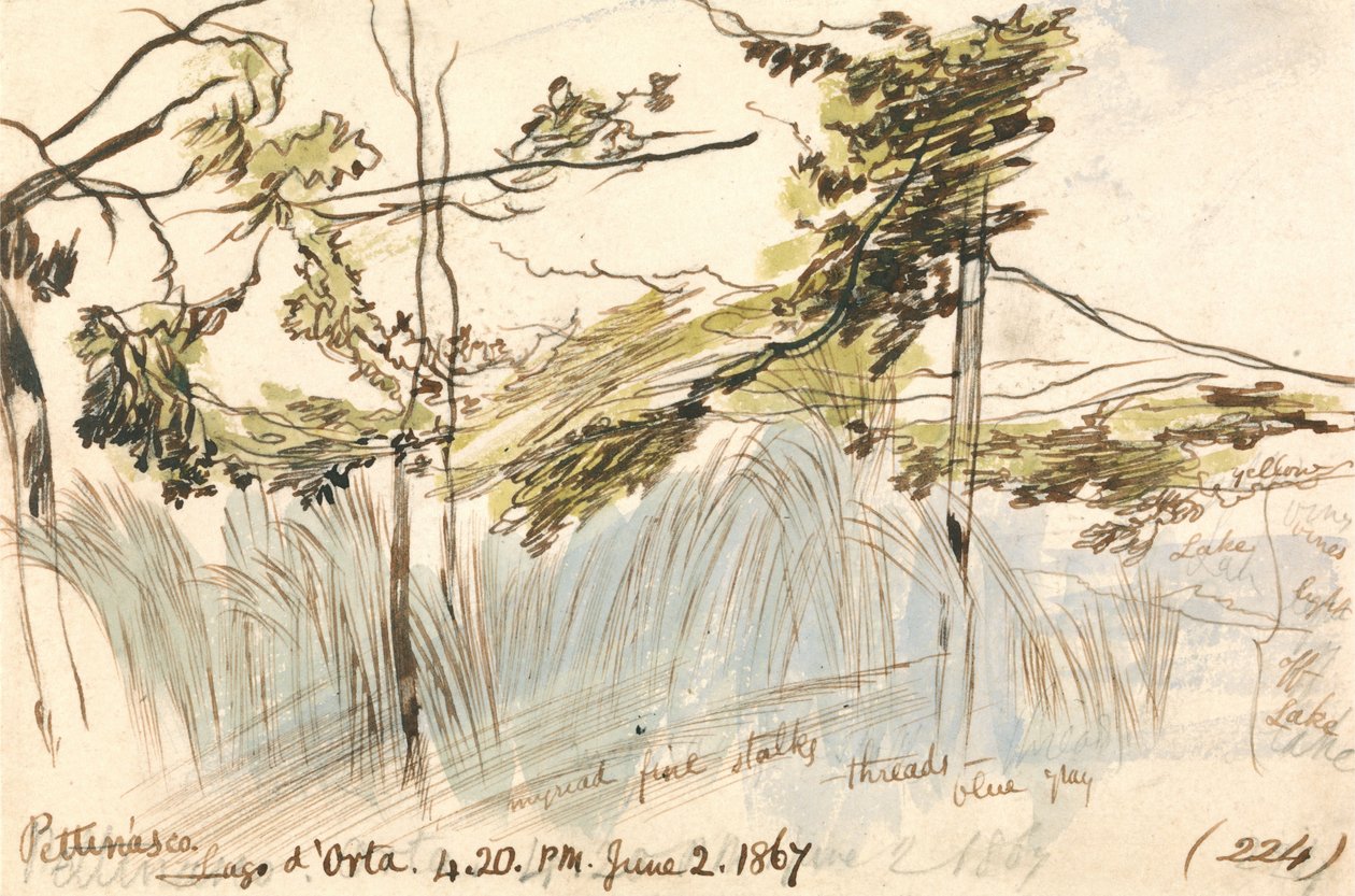 Pettenasco, Ortasjön, kl. 16.20, 2 juni 1867 (224) av Edward Lear