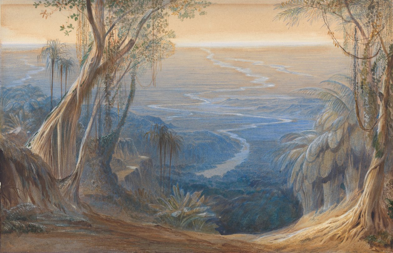 Bengaliska slätten, från ovan Siligoree av Edward Lear