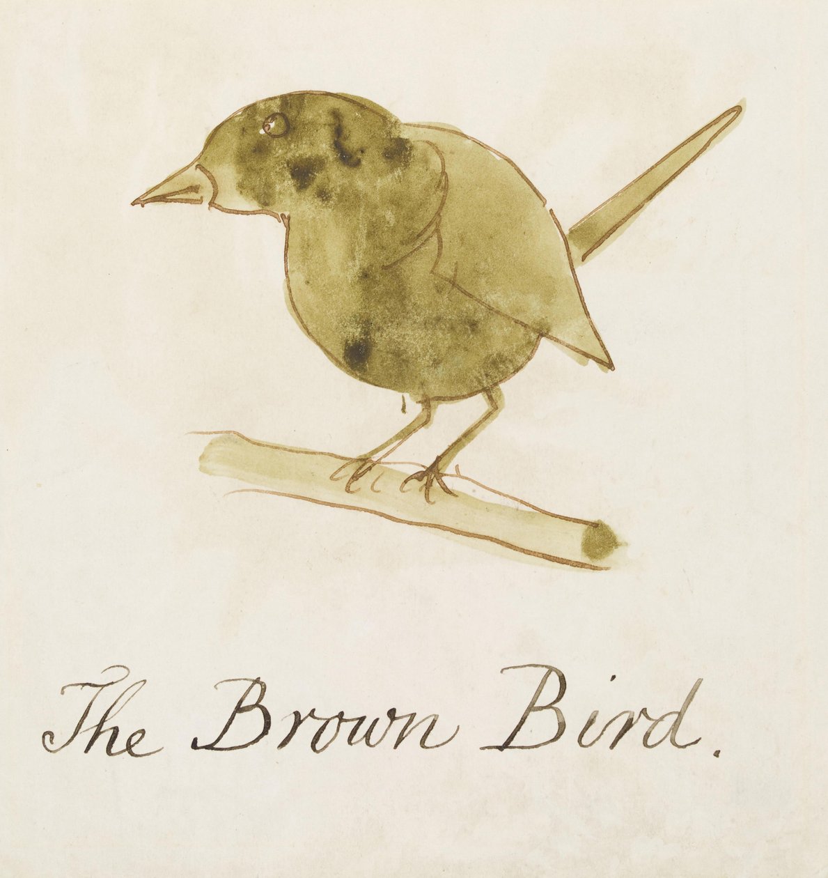 The Brown Bird, från sexton teckningar av komiska fåglar (penna och bläck wc på papper) av Edward Lear