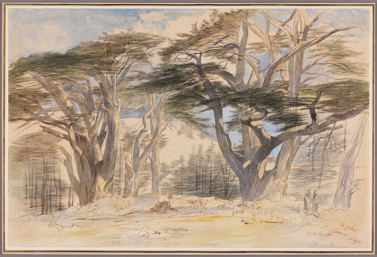 Libanons cedrar av Edward Lear