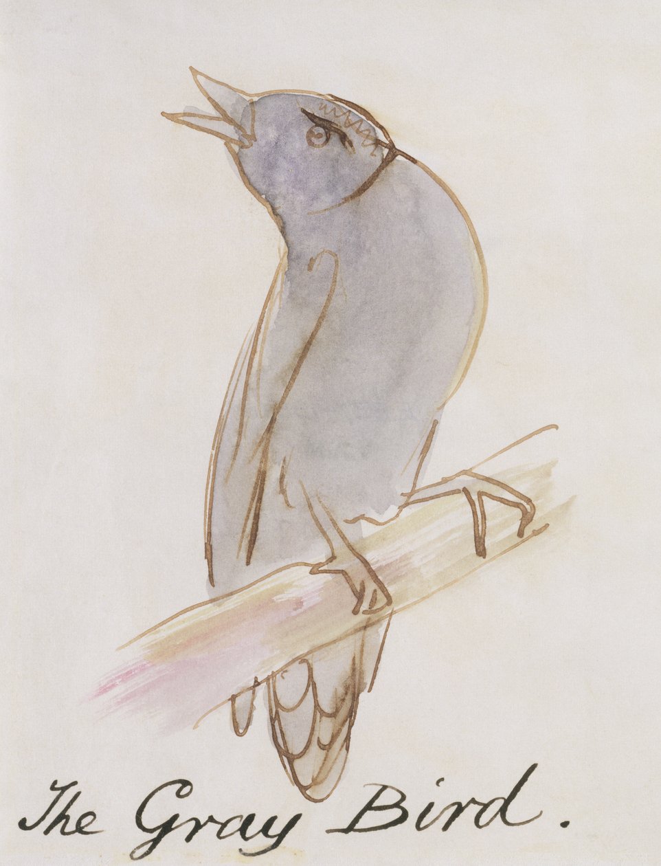 The Grey Bird, från "Sexton teckningar av komiska fåglar" (penna och bläck och wc på papper) av Edward Lear