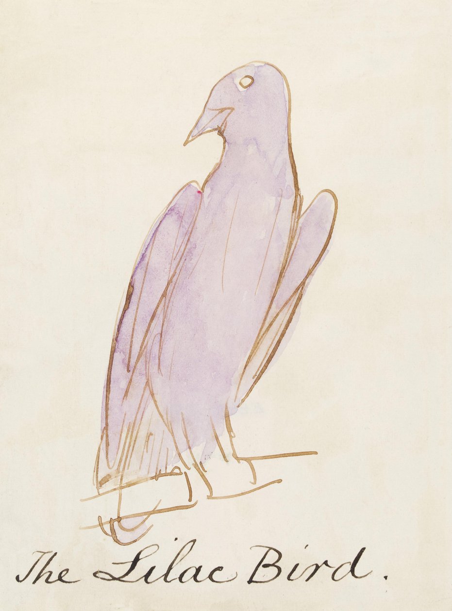 The Lilac Bird, från sexton teckningar av komiska fåglar (penna och bläck wc på papper) av Edward Lear