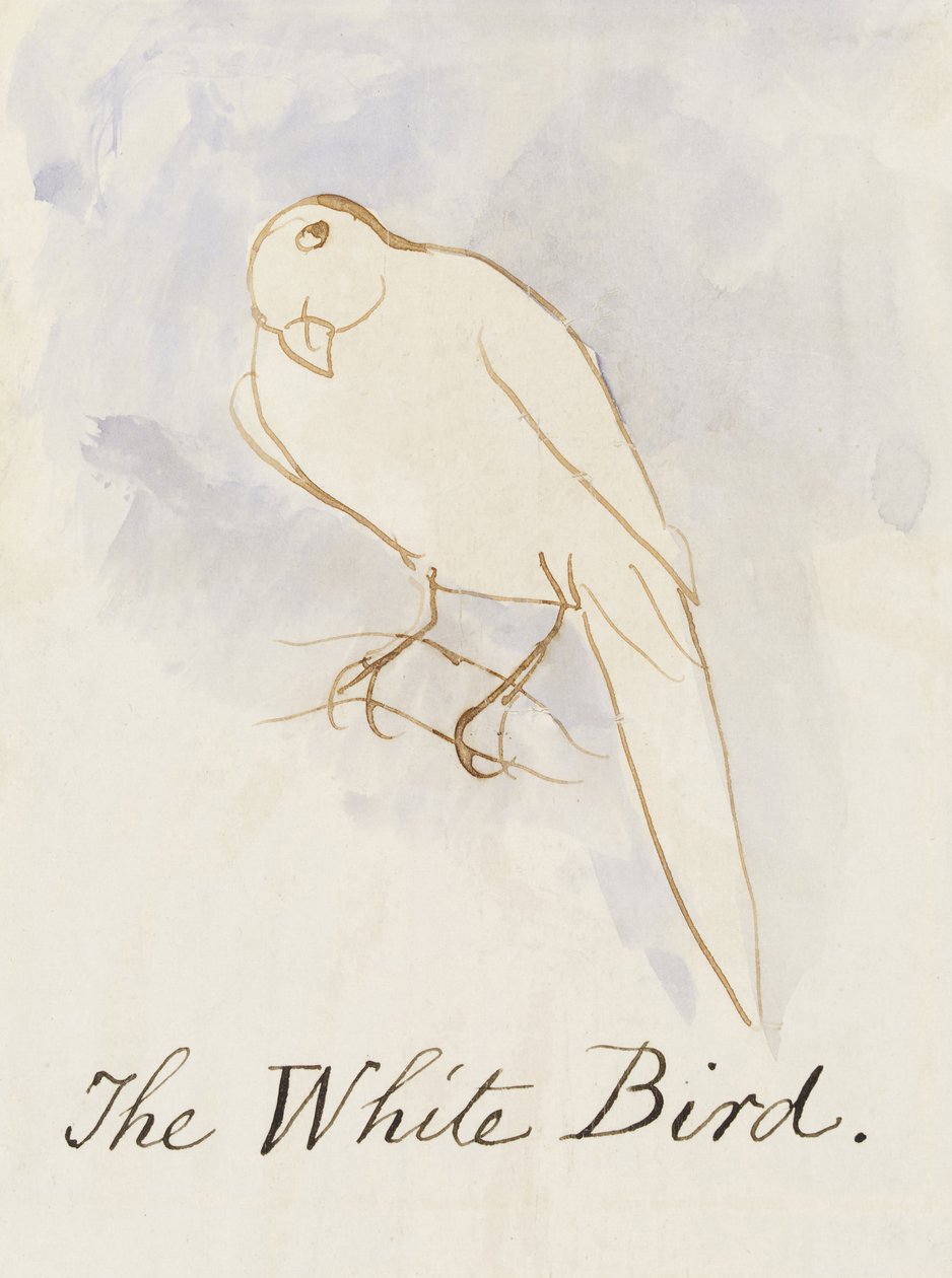 The White Bird, från sexton teckningar av komiska fåglar (penna och bläck wc på papper) av Edward Lear