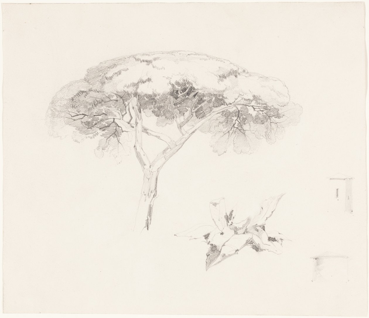 Paraplytall och andra studier av Edward Lear
