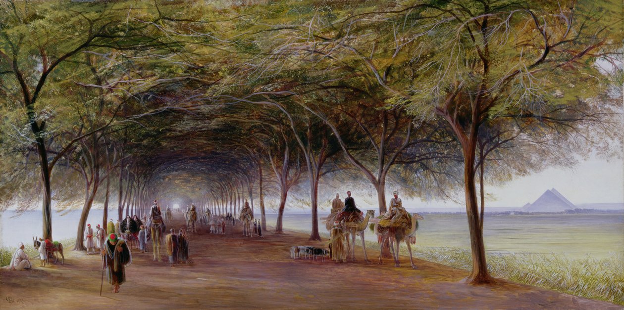 Utsikt över pyramidvägen, Giza av Edward Lear