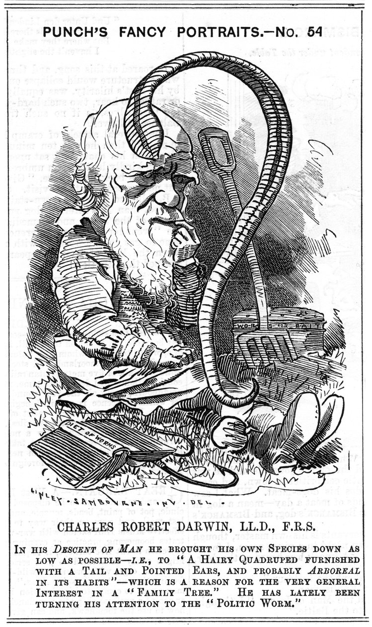Charles Darwin (1809-1882) engelsk naturforskare. Evolution genom naturligt urval. Tecknad av Edward Linley Sambourne (1844-1910) i Fancy Portrait-serien i Punch, London 1881, året då Darwin publicerade The Formation of Vegetable Mold through the action av Edward Linley Sambourne
