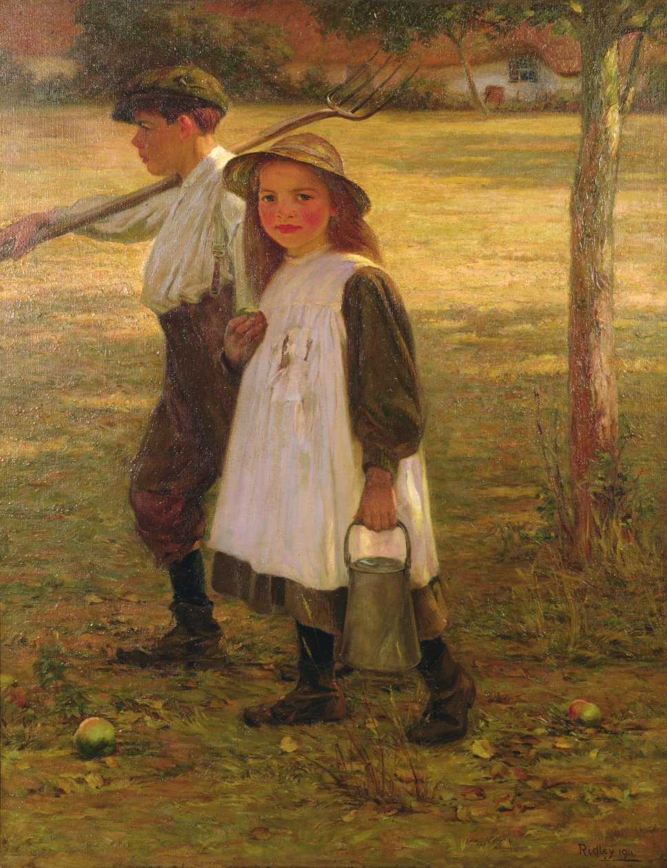 Hemåt av Edward Ridley