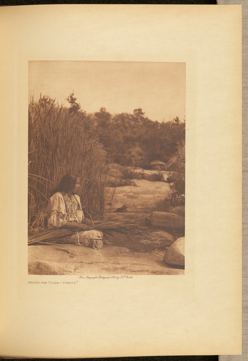 Bland tulpanerna - Yokuts av Edward S. Curtis