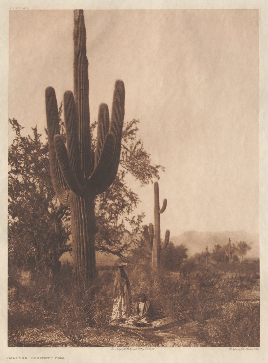 Portfölj II, planscherna 40-75 av Edward S. Curtis