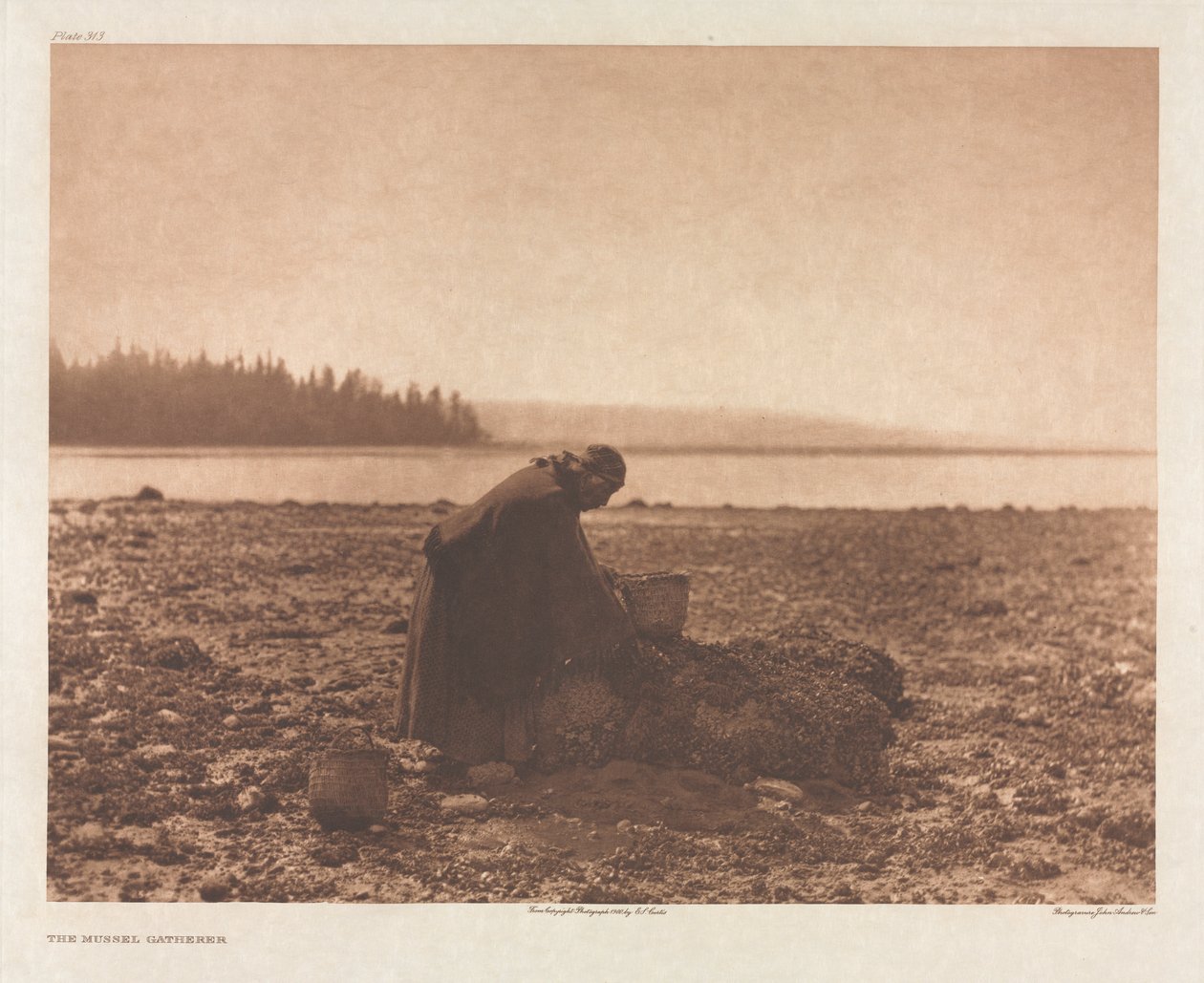Portfölj IX, skylt 313: Musselsamlaren av Edward S. Curtis
