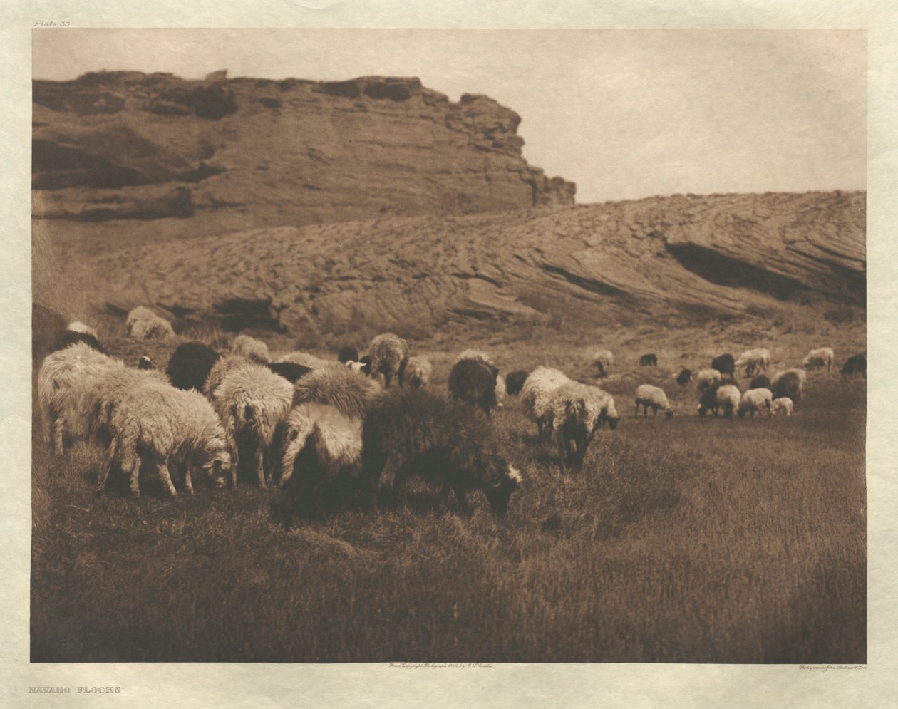 Portfölj I, plansch 33: Navaho-flockar av Edward S. Curtis