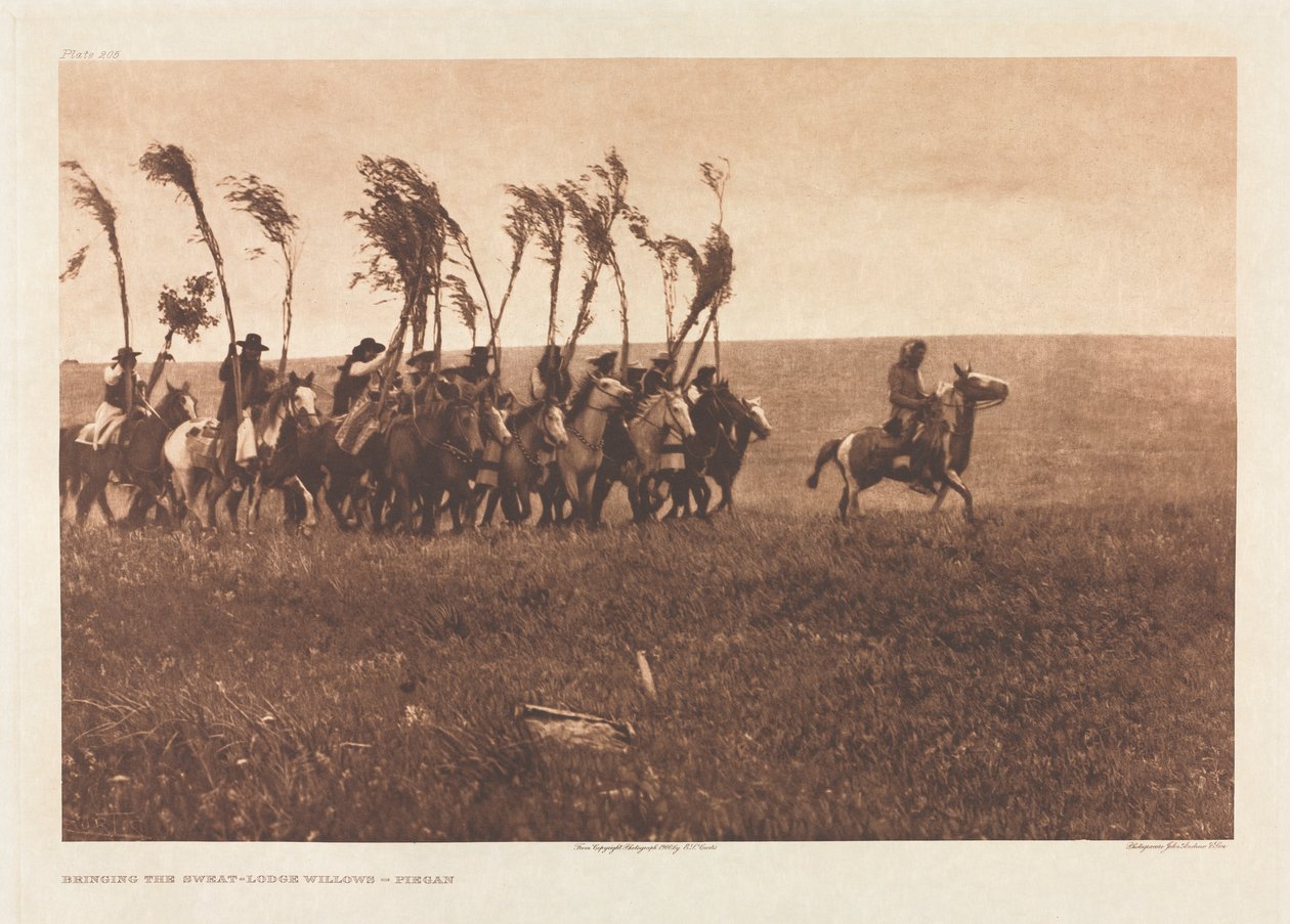 Portfolio VI, skylt 205: Bringing the Sweat-Lodge Willows - Piegan av Edward S. Curtis