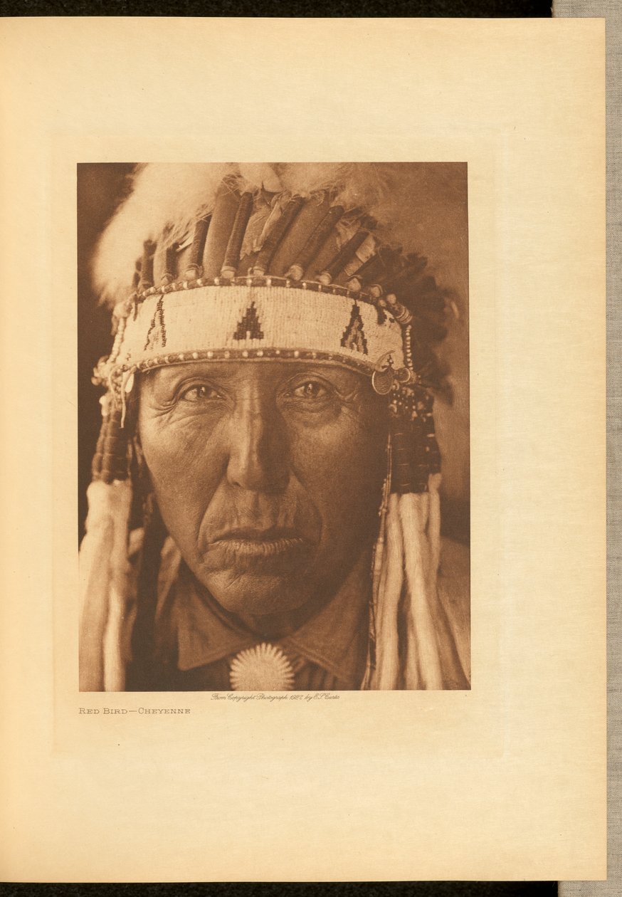 Röd fågel - Cheyenne av Edward S. Curtis